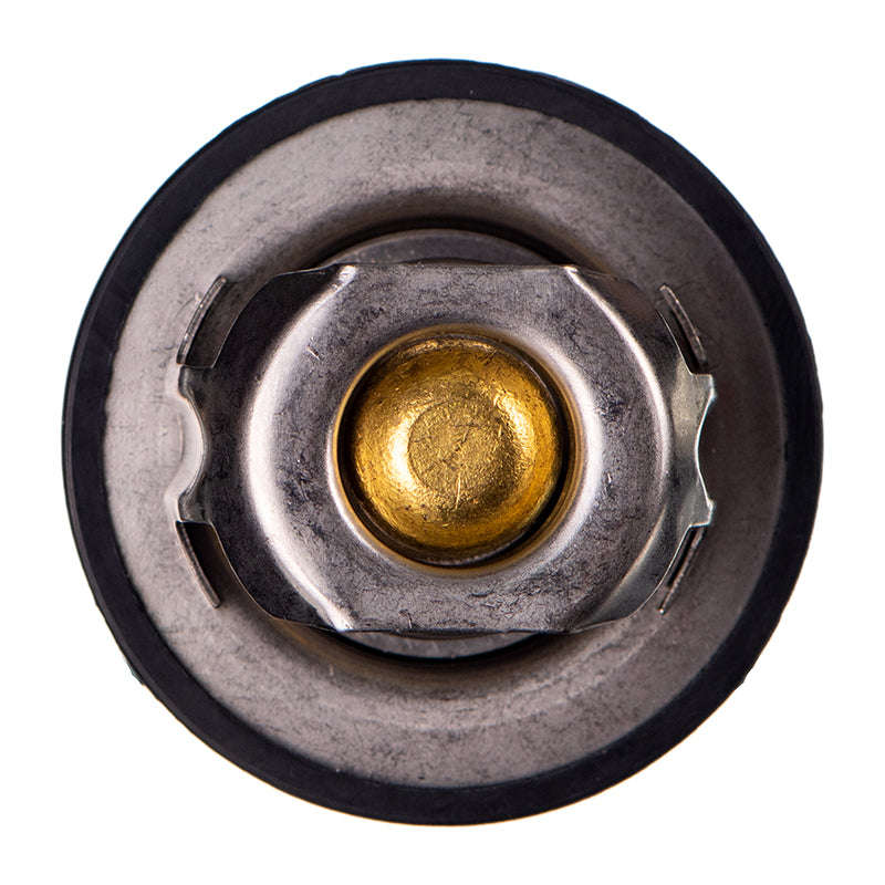 Thermostat - Ts5089 (Doe)