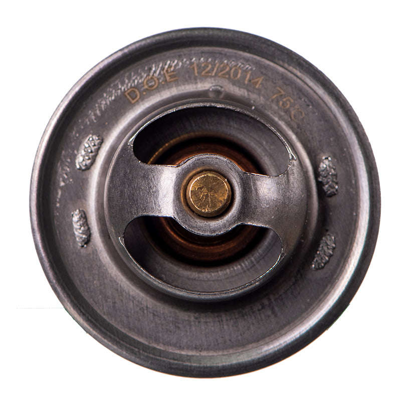 Thermostat - Ts5275 (Doe)