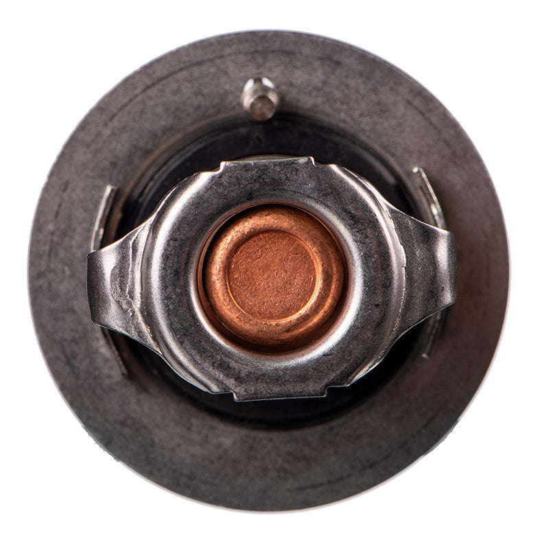 Thermostat - Ts5288 (Doe)