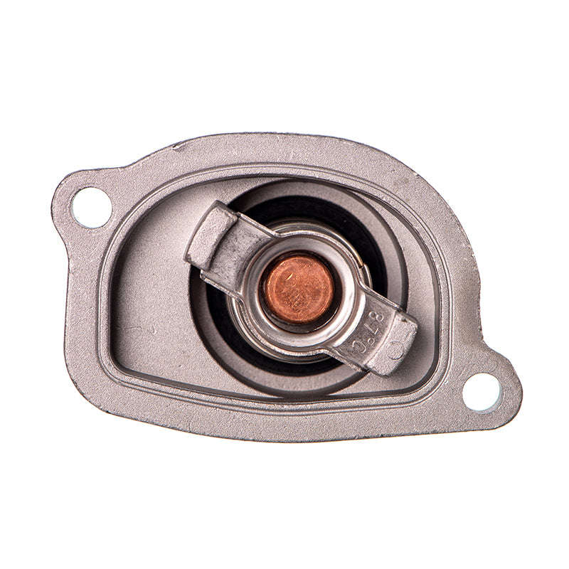 Thermostat - Tuf (Doe)