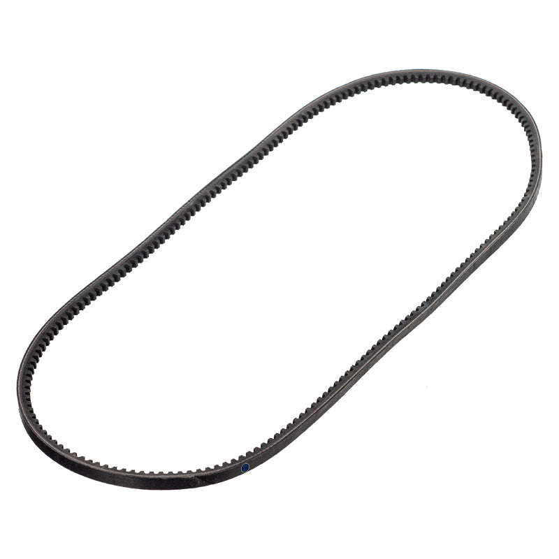 Cogged Fan Belt - V4452 (Doe)