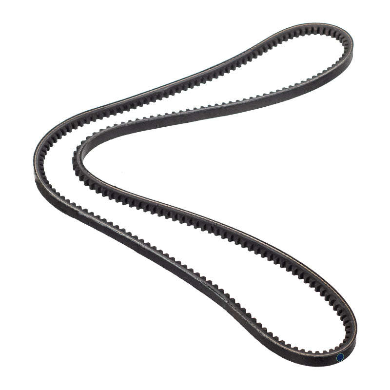 Cogged Fan Belt - V4562 (Doe)