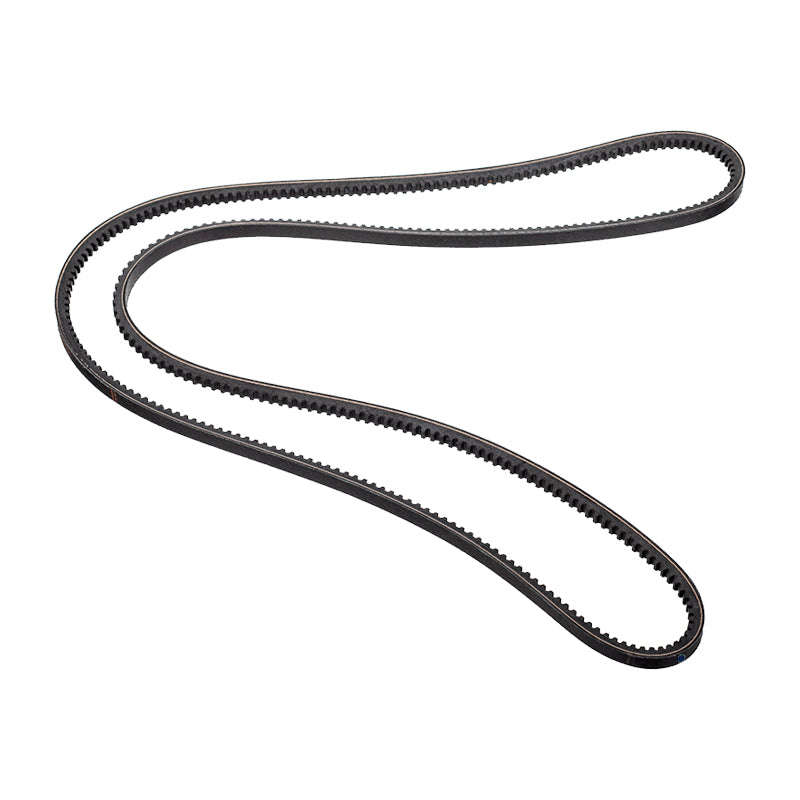 Cogged Fan Belt - V6512 (Doe)