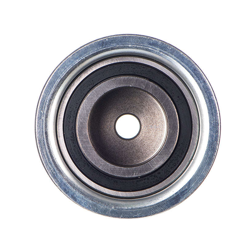 Cambelt Roller - Vw508