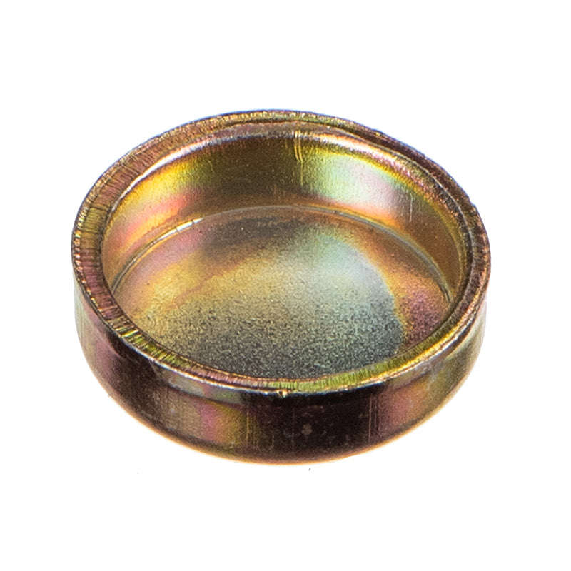 Welsh Plug - 21Mm. - Wp21
