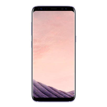 Samsung Galaxy S8 (Dual Sim, 64GB, Orchid Grey, Special Import)
