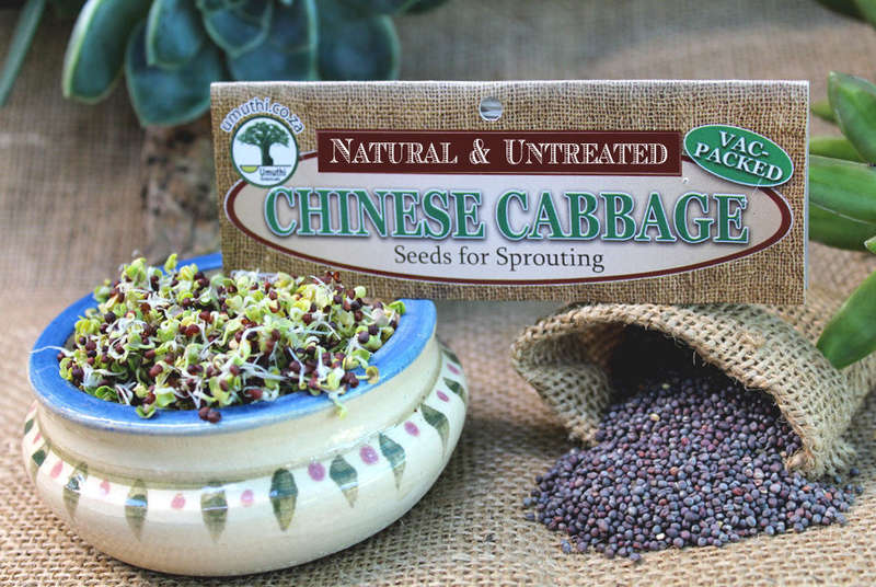 CHINESE CABBAGE SEEDS - 50g Vac Pac
