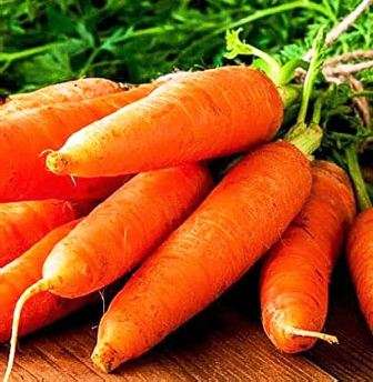 Carrot Cape Market - Approx 700 seeds - Raw Open Pollinated