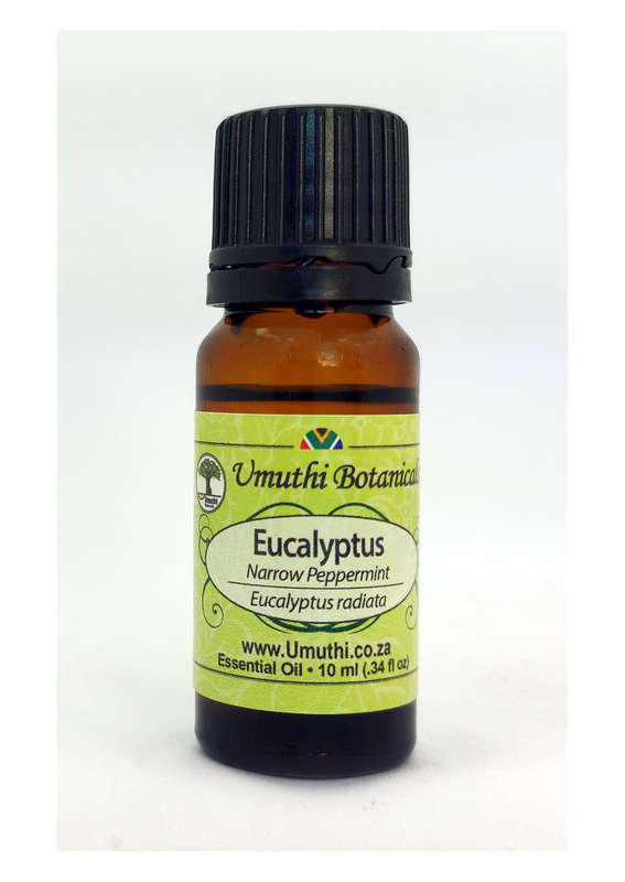 EUCALYPTUS NARROW PEPPERMINT OIL  Dives- eucalyptus radiata - 100% Pure