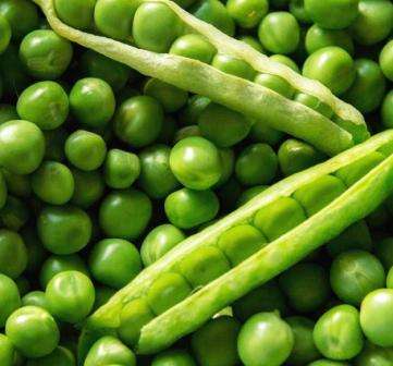 Peas Greenfeast - 30 seeds - Raw Open Pollinated