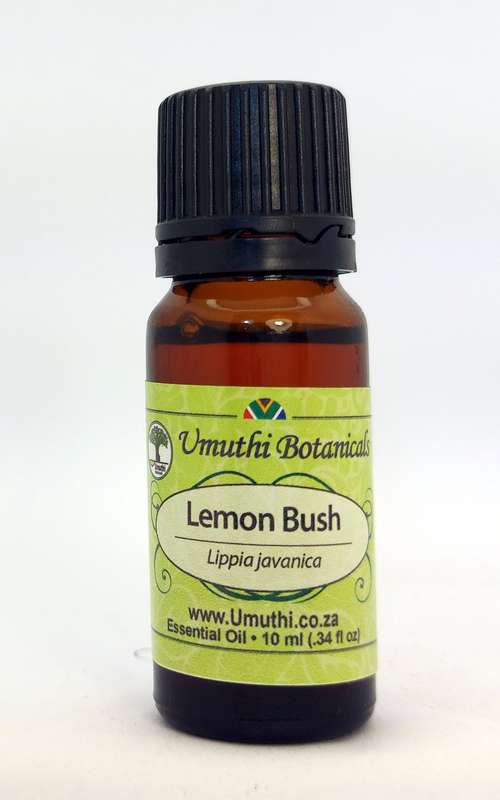 LEMON BUSH OIL - Lippia javanica