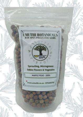 MAPLE PEAS - Sprouting Seeds - Pisum Sativium - Natural & Untreated - Microgreens