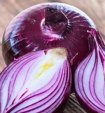 Onion Red Creole - Approx 125 seeds - Raw Open Pollinated