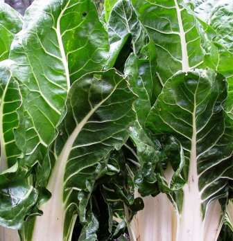 Swiss Chard Fordhook  - Approx 150 seeds - Raw Open Pollinated