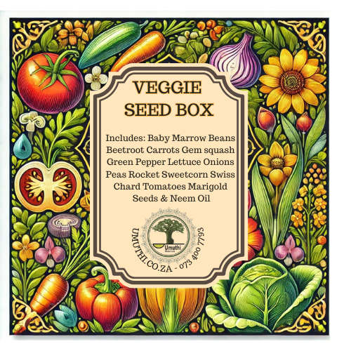 Veggie Seed Starter Box - Untreated - non GMO -