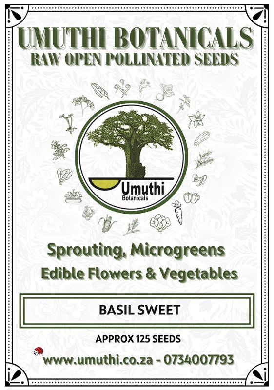 Basil Sweet - Approx 125 seeds - Raw Open Pollinated