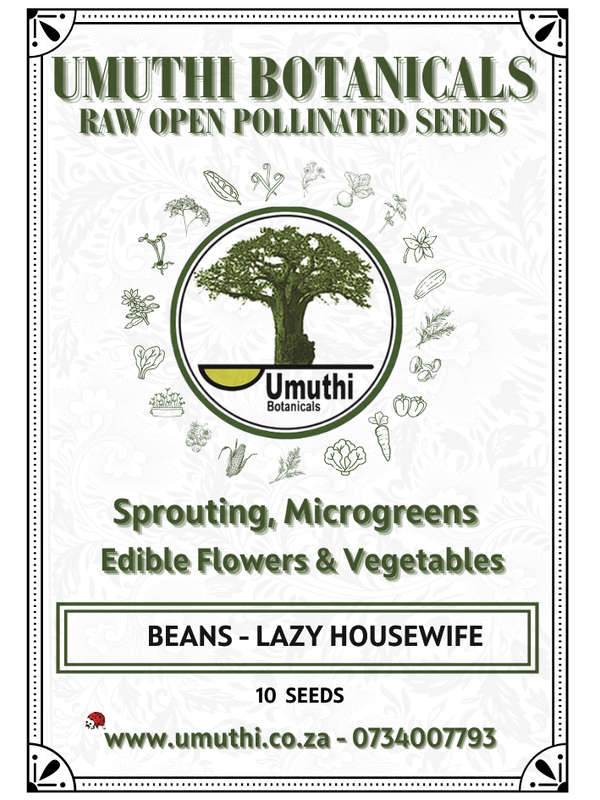 Beans - Lazy House Wife - Runner Raw (Untreated) Non GMO seed