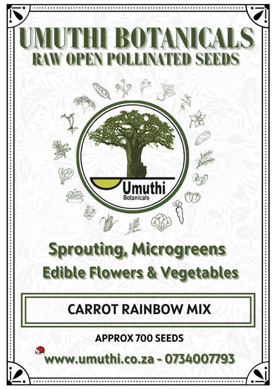 Carrot Rainbow MIx- Approx 700 seeds - Raw Open Pollinated