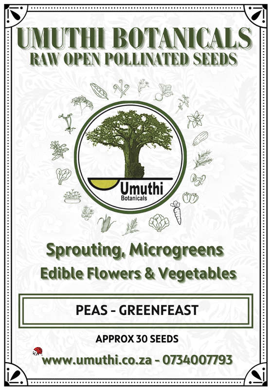 Peas Greenfeast - 30 seeds - Raw Open Pollinated
