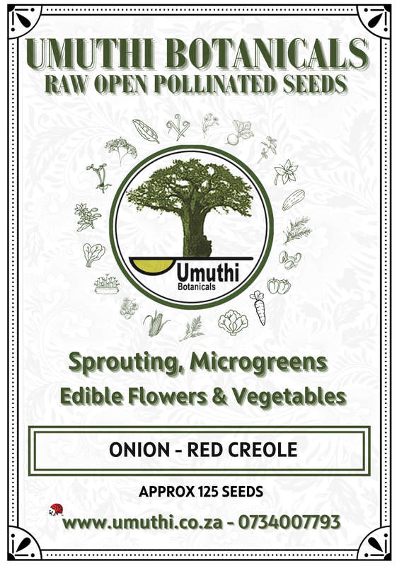 Onion Red Creole - Approx 125 seeds - Raw Open Pollinated