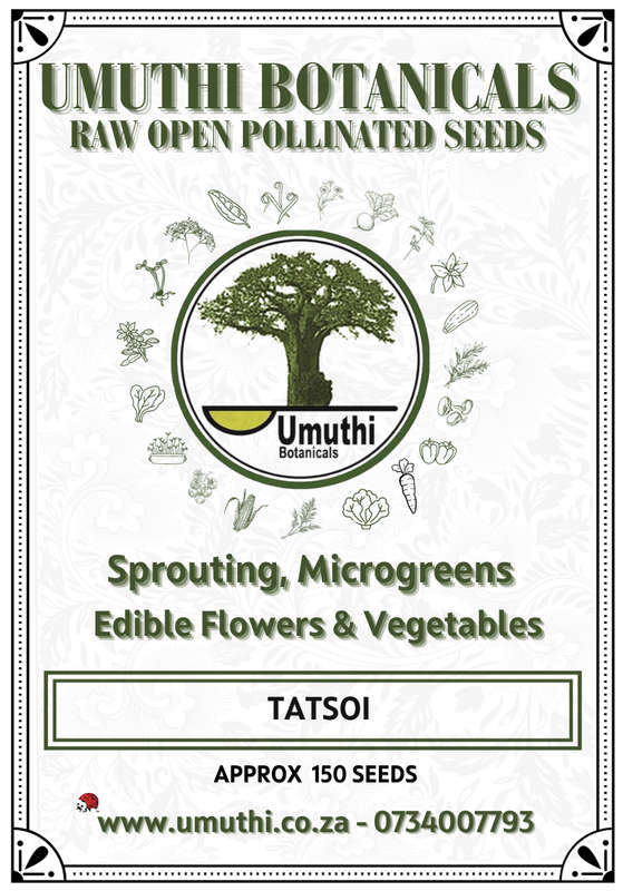 Tatsoi - Approx 150 Seeds - Raw Open Pollinated