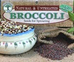 BROCCOLI SPROUTING SEEDS - Brassica Oleracea - Natural & Untreated - 100g Vac Pack