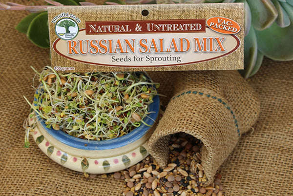 RUSSIAN SALAD MIX - Sprouting Seeds - Lens - Natureal & Untreated - Microgreens - 100g