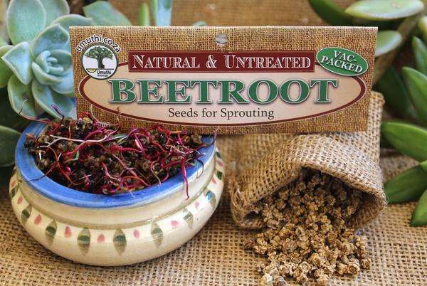 Beetroot Sprouting Seeds - Beta Vulgaris - Natural & Untreated - 500g