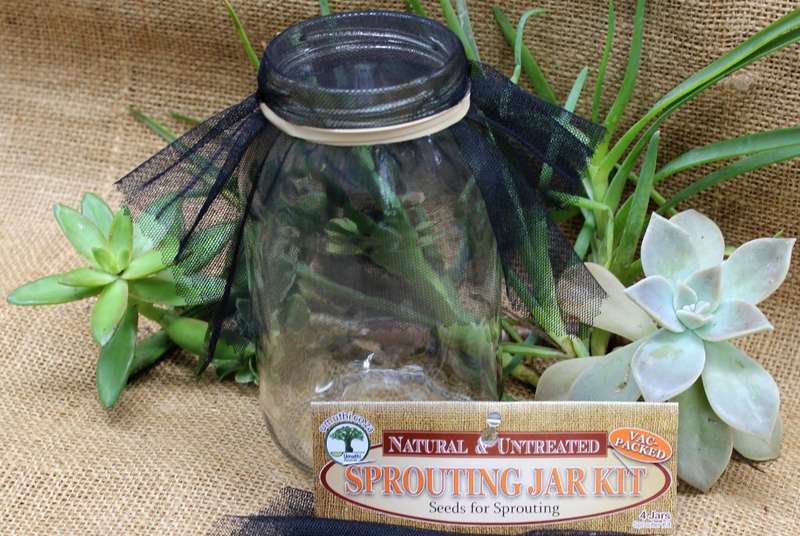 SPROUTING JAR KIT  FOR 4 JARS WITH STARTER SEED PACK
