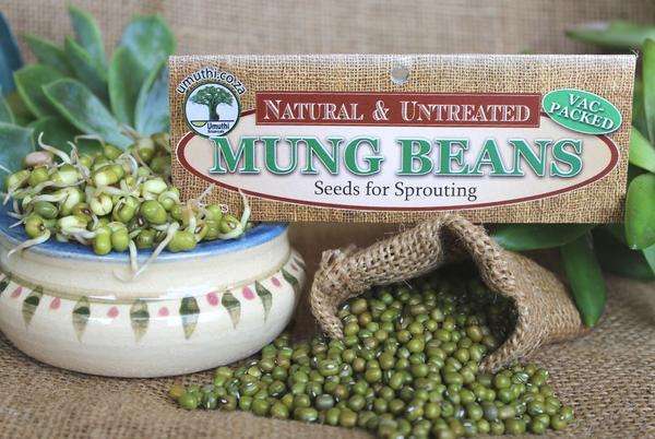 MUNG BEANS - Sprouting Seeds - Vigna Radiata - Natureal & Untreated - Microgreens - 200g Vac Pack