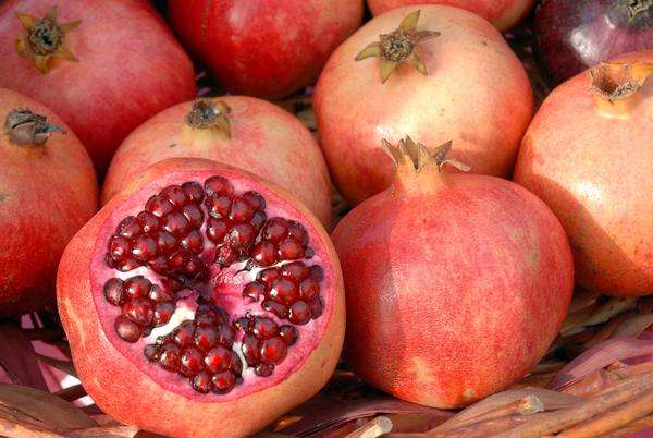 Pomegranate Seed Oil - Punica granatum - 100% pure cold pressed - 200ml