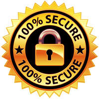 100% Secure