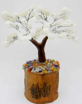 Crystal Trees