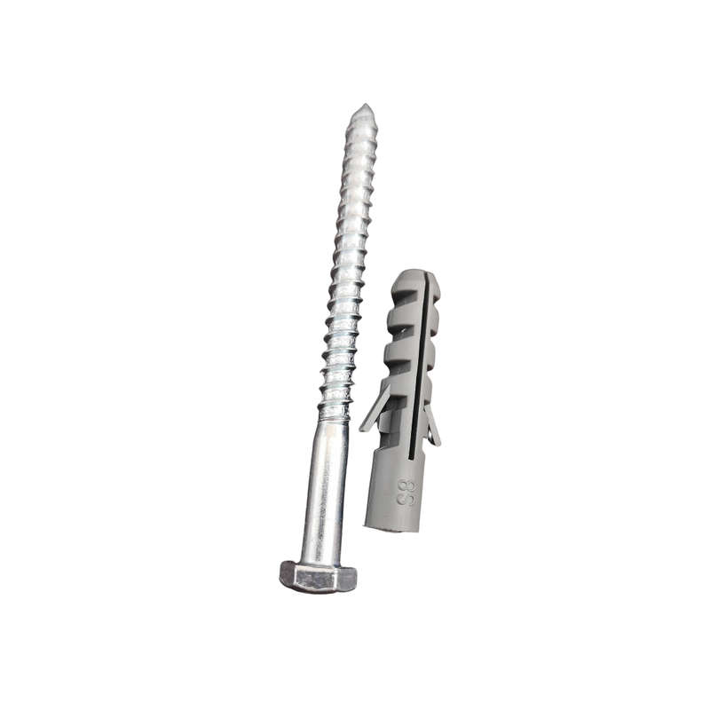 Coach Screw Galv 6x75mm + fisher plug