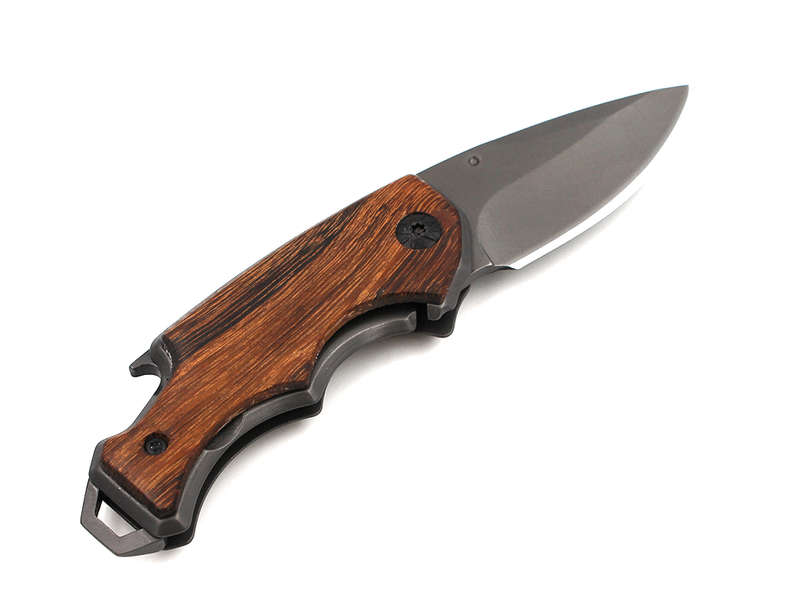 Buck mini pocketknife