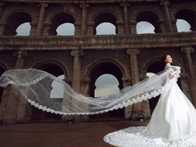 Long Tail 5M Bridal Veil