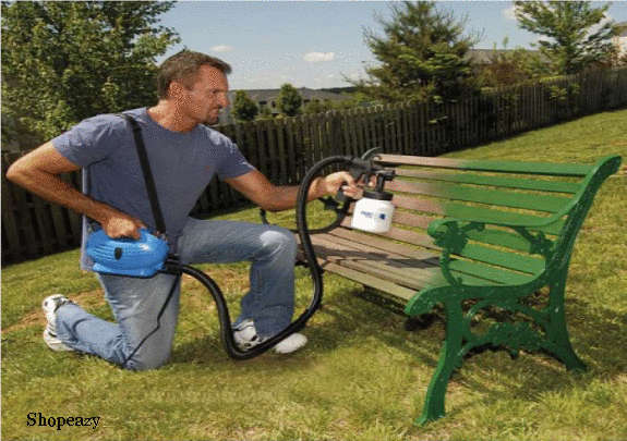 Paint Zoom Sprayer