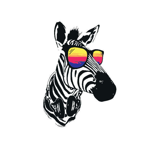 Adult Paint by Numbers with Frame - Cool Zebra