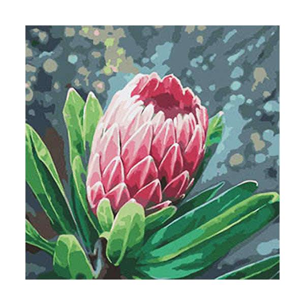 Adult Paint by Numbers with Frame - Queen Protea