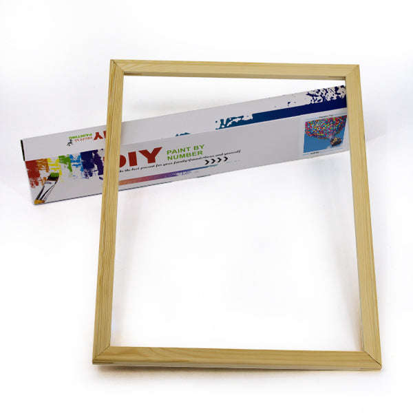 Adult Paint by Numbers with Frame - Up, Up and Away
