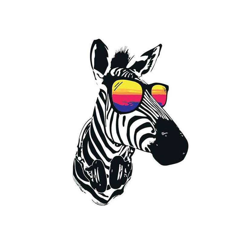 Adult Painting by Numbers - Cool Zebra