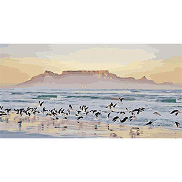 Adult Painting by Numbers - Table Mountain Glory