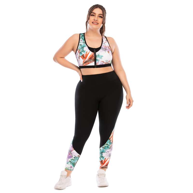 Iconix Plus Size Ladies Black Interlude Leggings