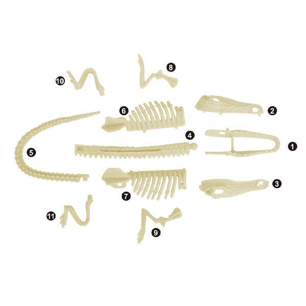 Junior Archaeology Dig Kit  Crocodile