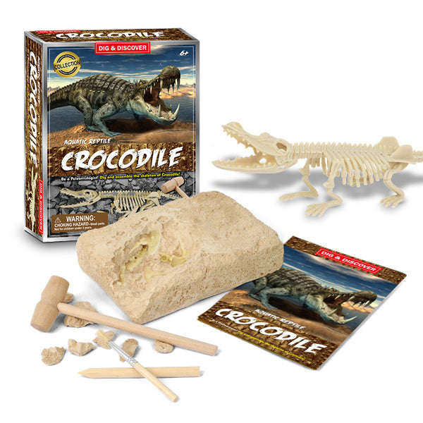 Junior Archaeology Dig Kit  Crocodile