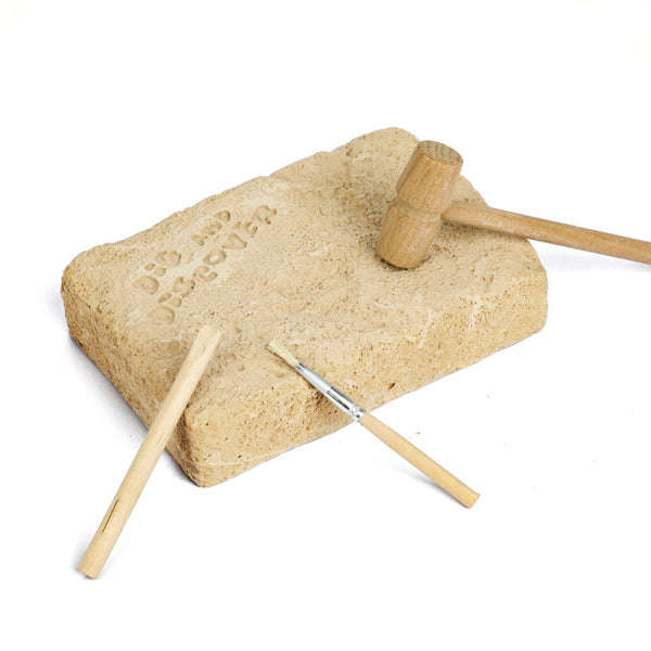 Junior Archaeology Dig Kit  Crocodile