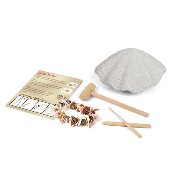 Junior Archaeology Dig Kit  Seashells