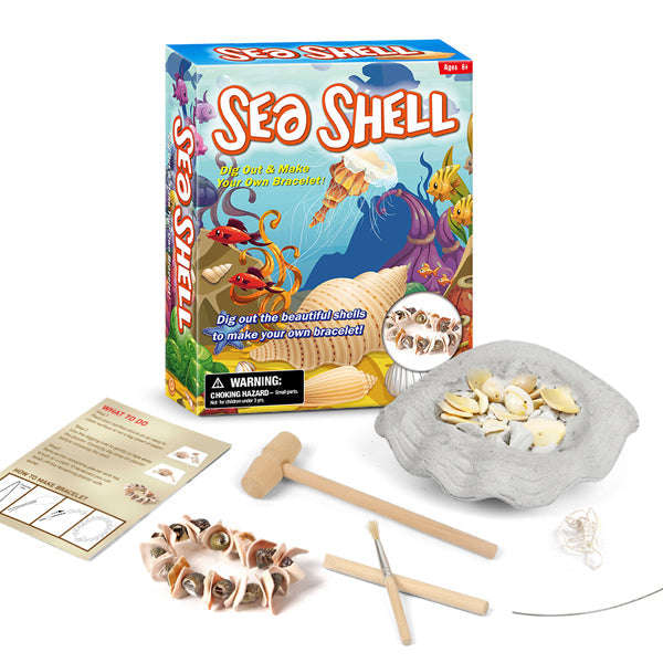 Junior Archaeology Dig Kit  Seashells