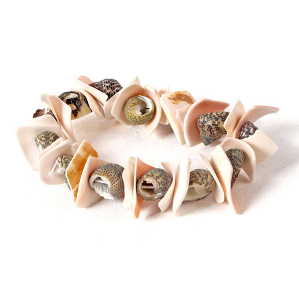 Junior Archaeology Dig Kit  Seashells