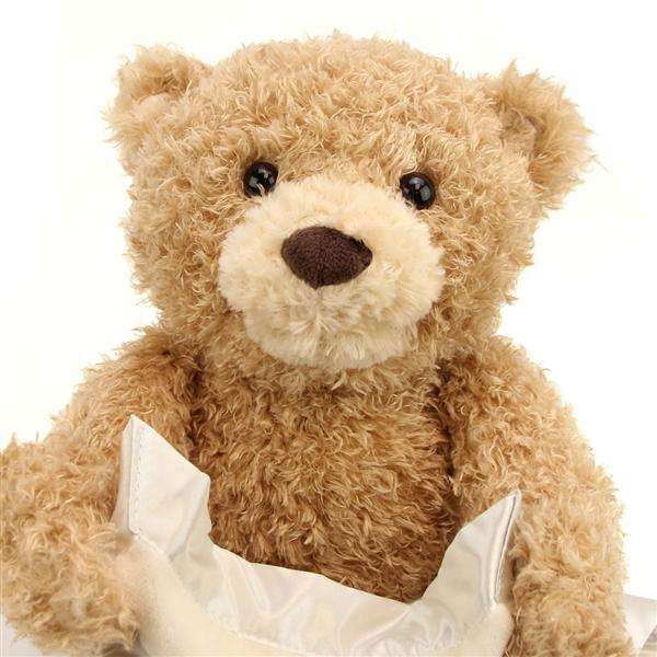 Plush Peek a Boo Talking Teddy Bear